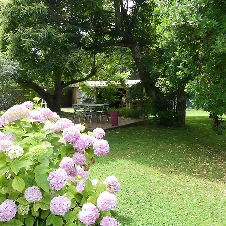 Proche De Bordeaux Et Saint Emilion, Maison Au Calme Avec Grand Jardin Σπίτι διακοπών *